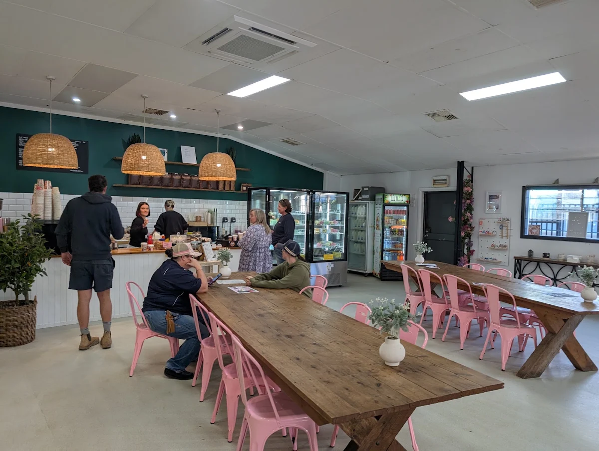 Vibe, The Hazel Cup Cafe