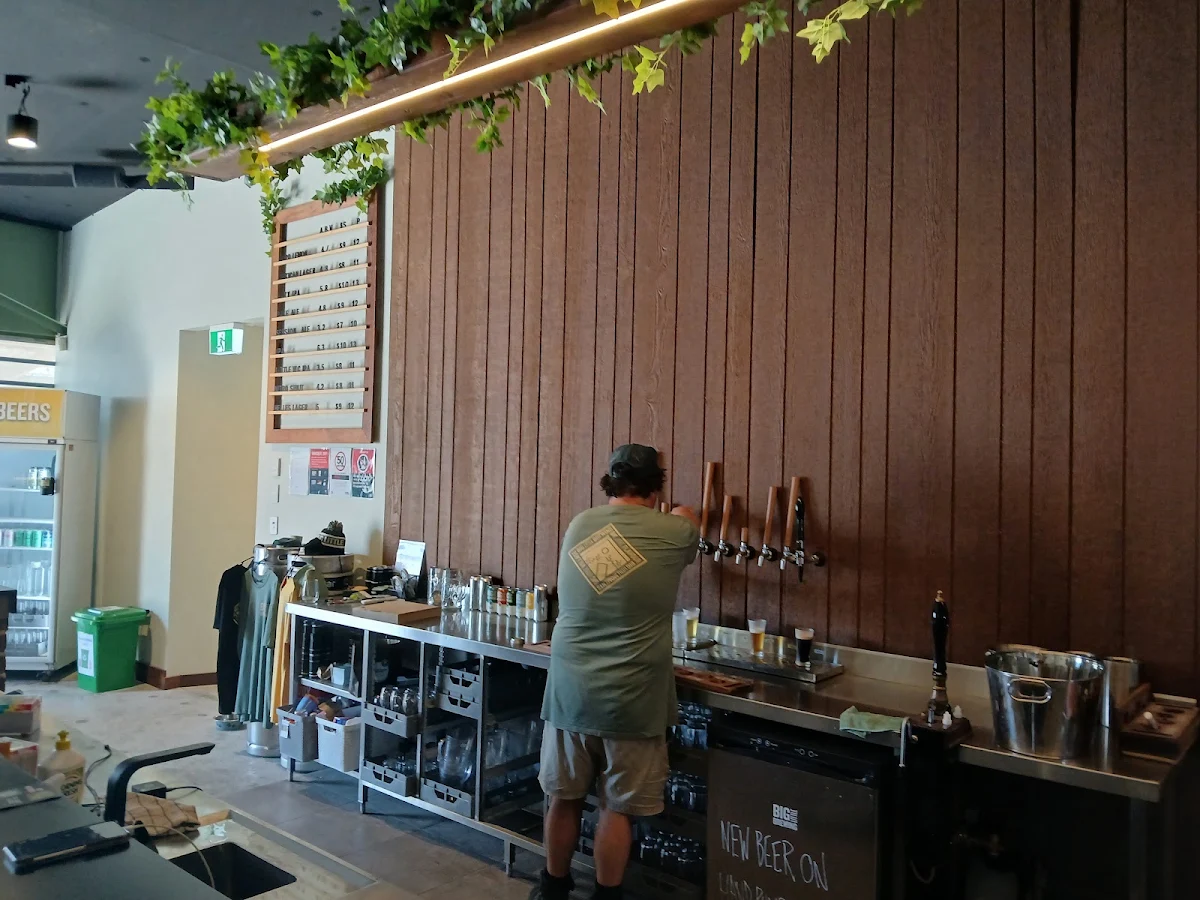 Vibe, Big Little Brewing