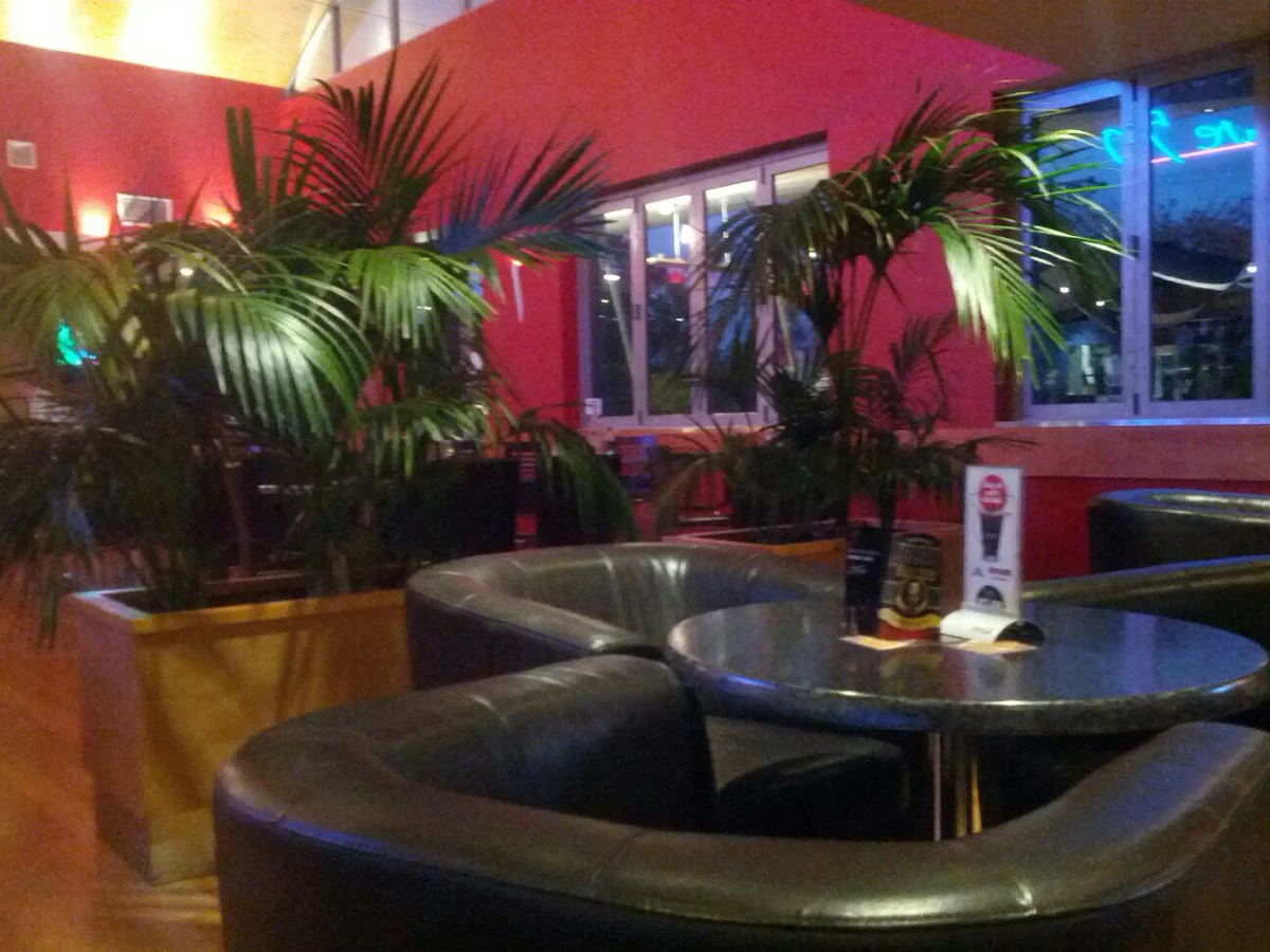 Vibe, Tavern 540
