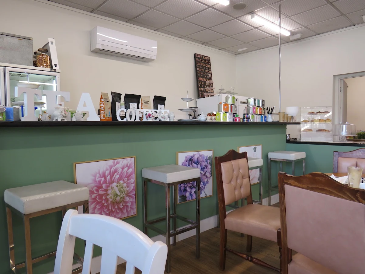 Vibe, The Little Cup Tea Room and Bake Shop