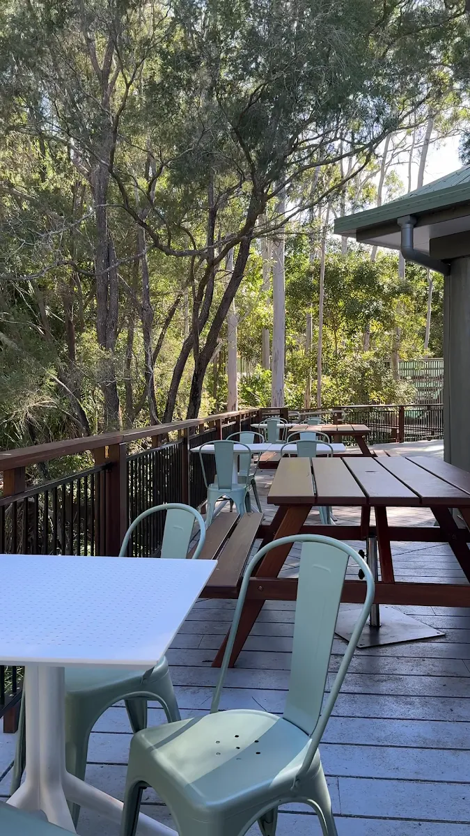 Vibe, Junction Cafe Tondoon Botanic Gardens