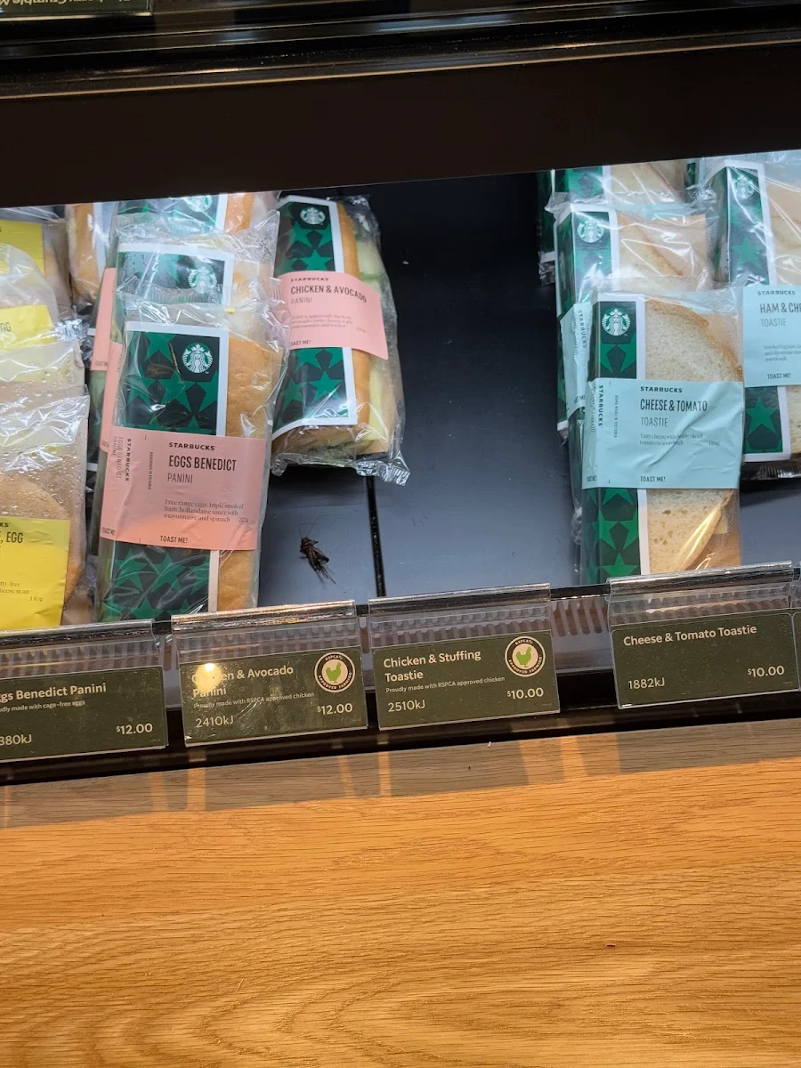 Menu, Starbucks Tarneit