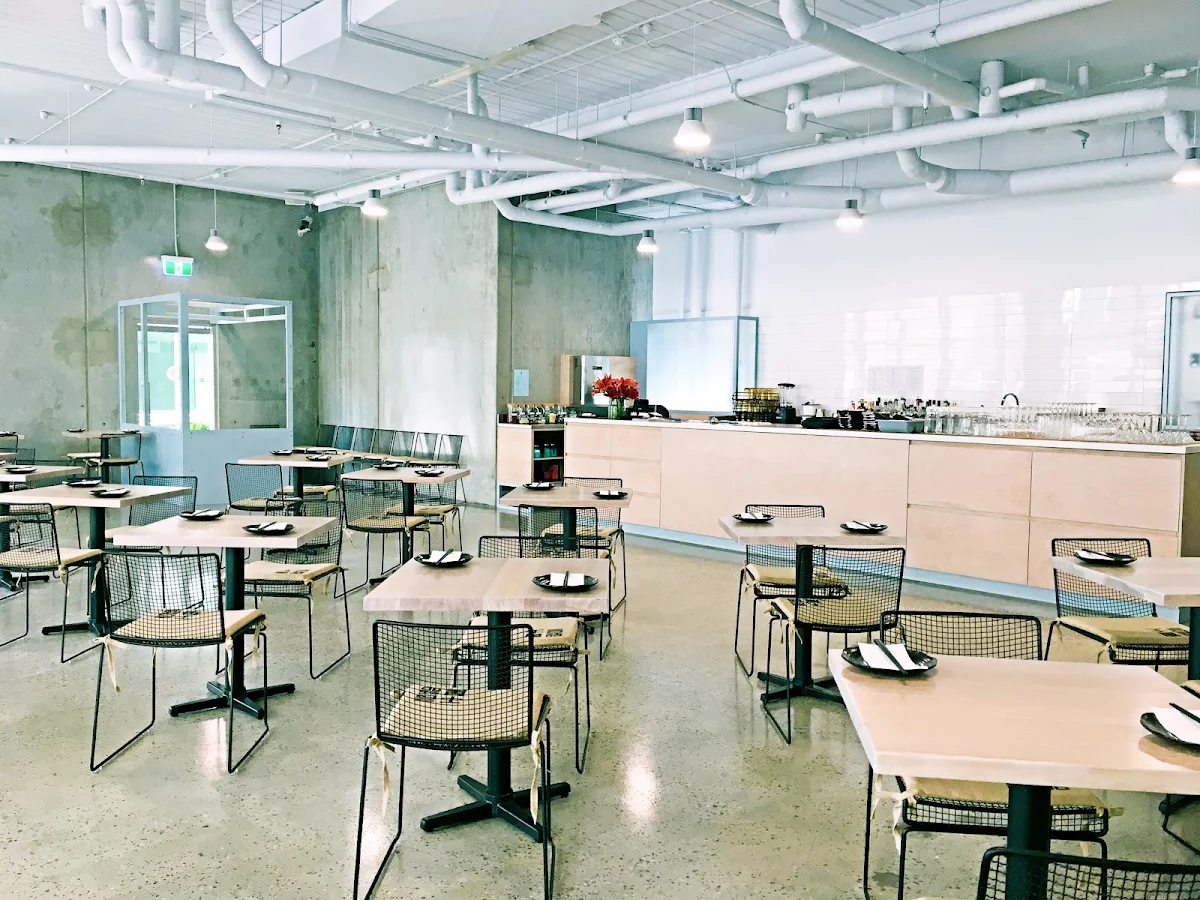 Vibe, Lunar Dumpling Bar