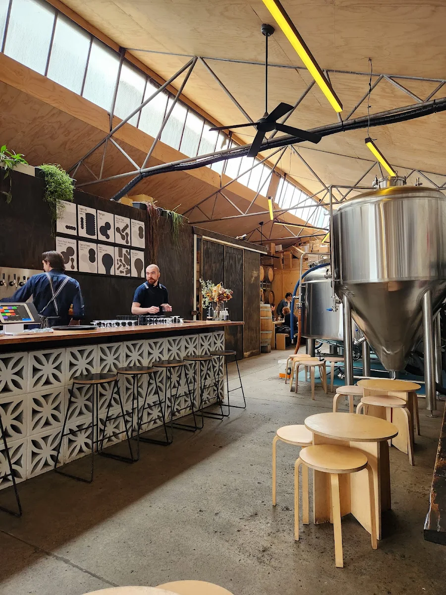 Vibe, Molly Rose Brewery