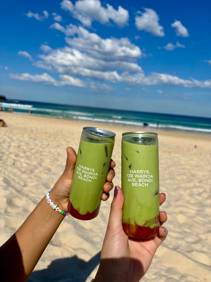 Food & drink, Harrys Bondi