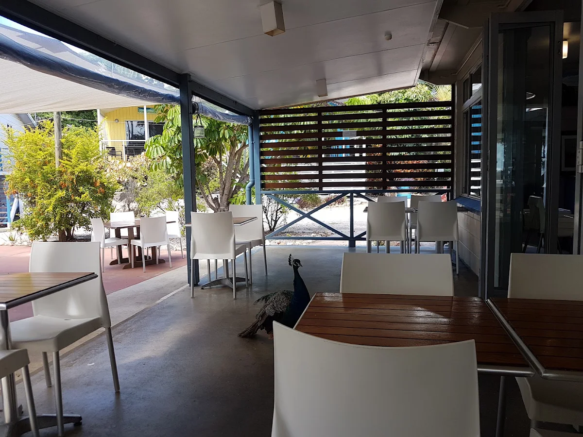 Vibe, Meraki Whitsundays