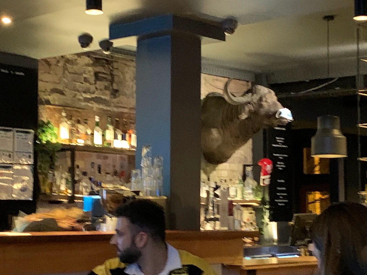 Vibe, Limerick Arms Hotel
