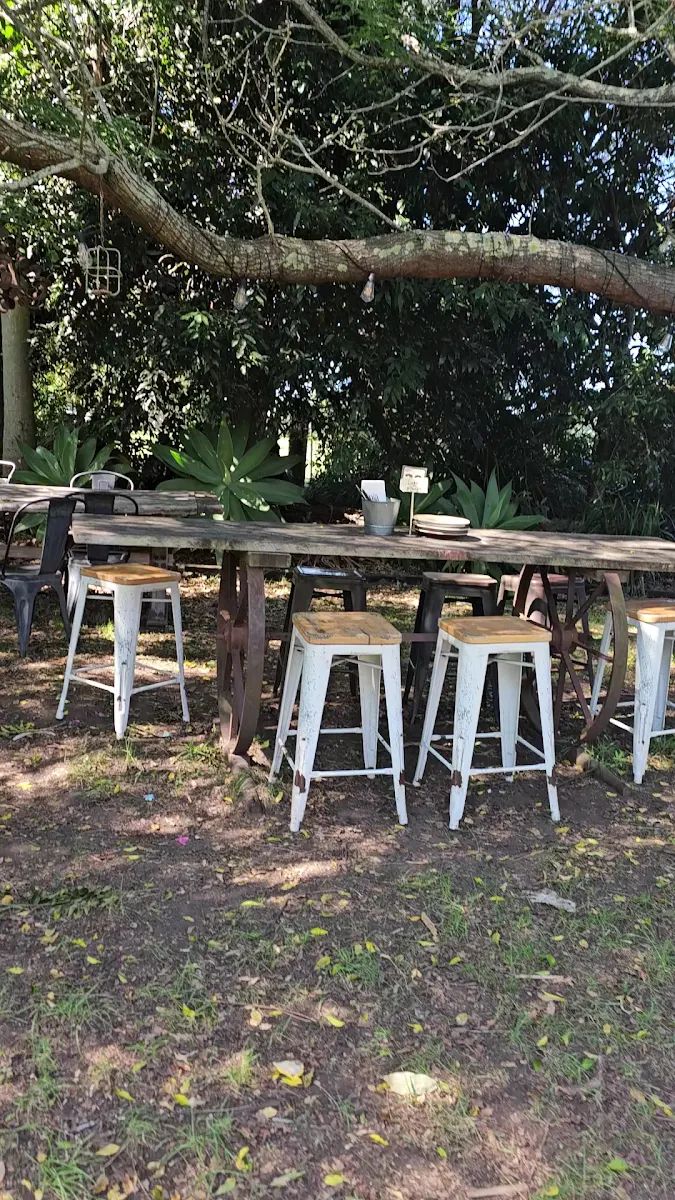Vibe, Harvest Milton
