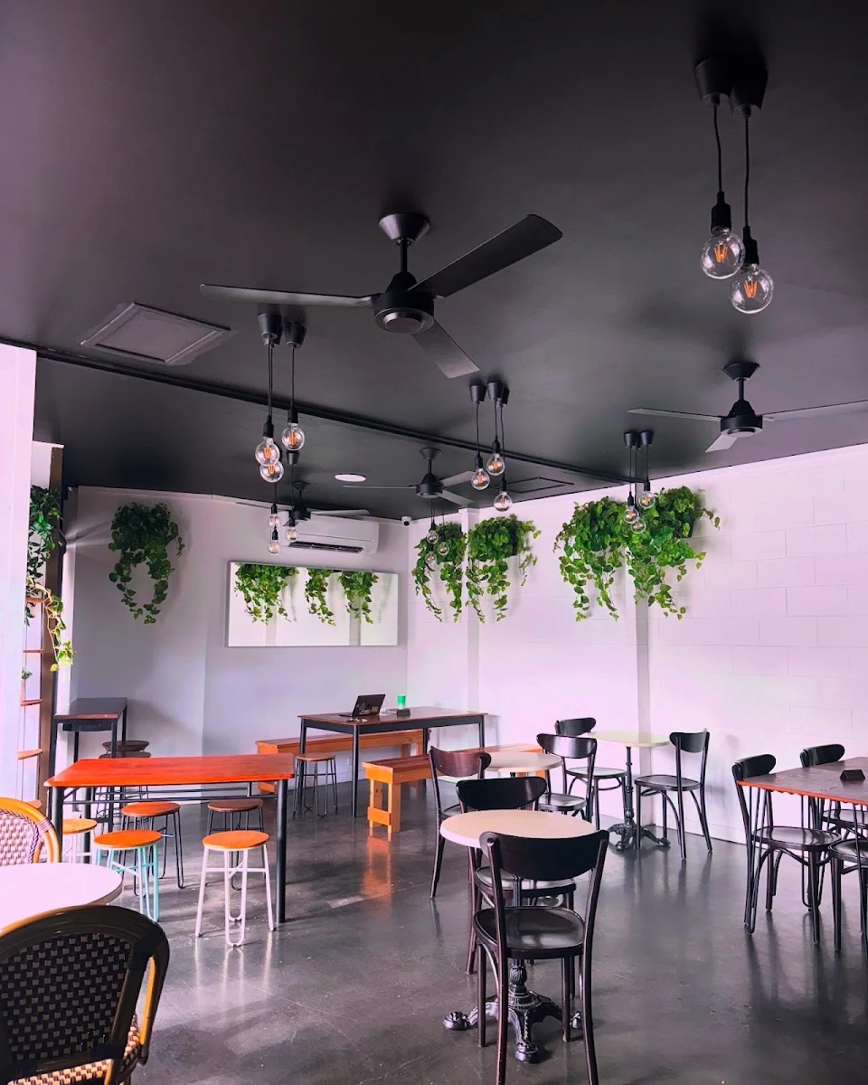 Vibe, CBH | Coffee Bean House