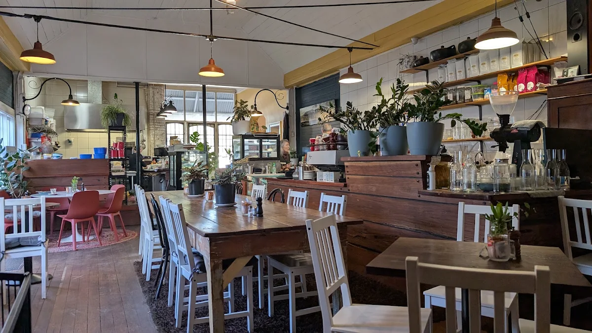 Vibe, Potbelly at Medlow