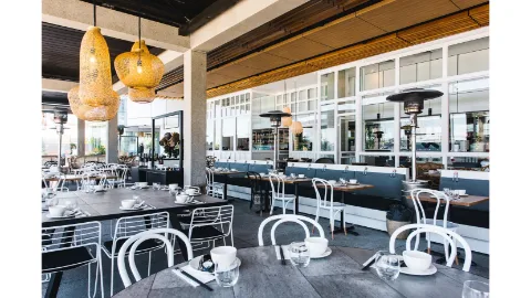 Vibe, Lotus Barangaroo