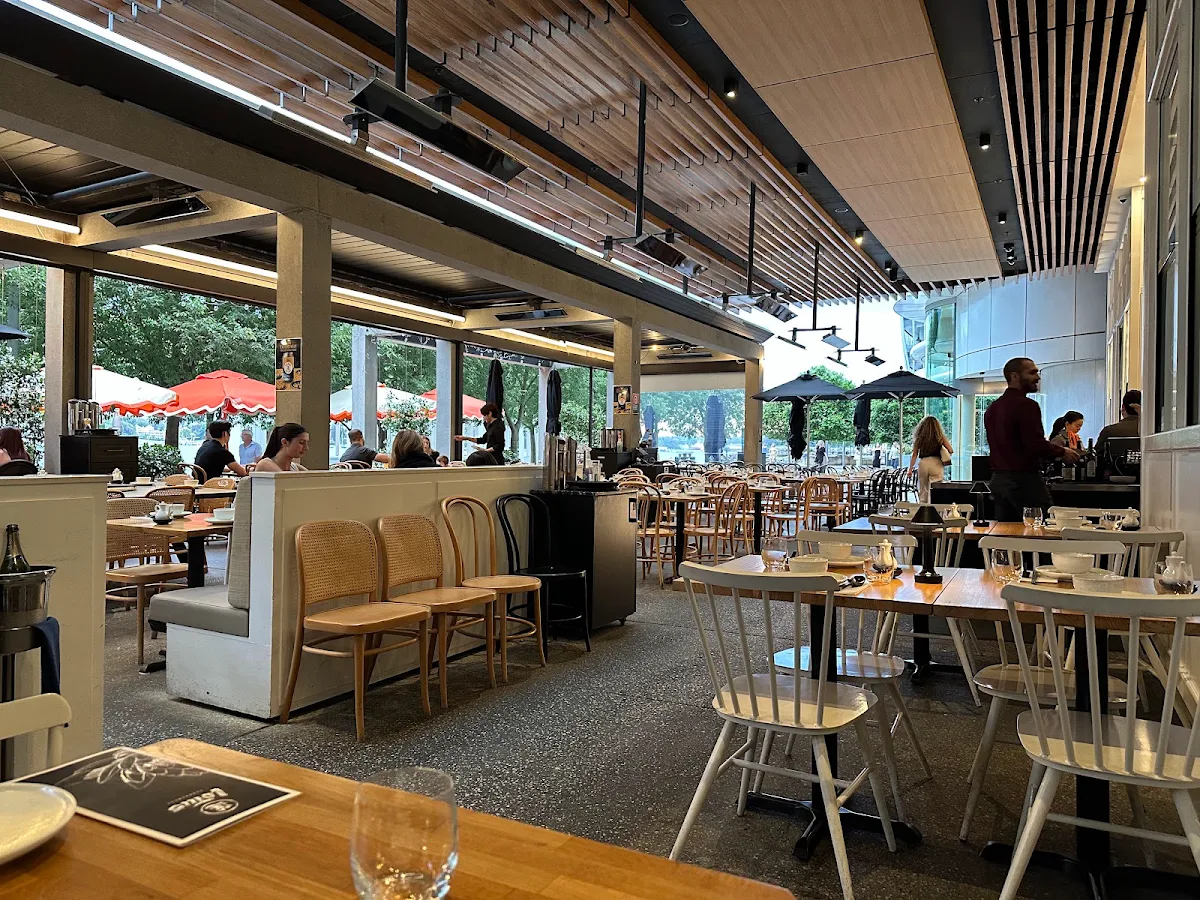 Vibe, Lotus Barangaroo