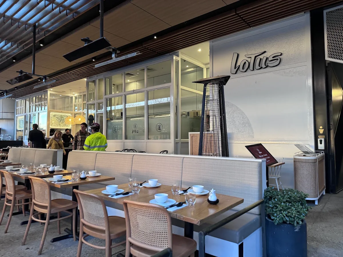 Vibe, Lotus Barangaroo