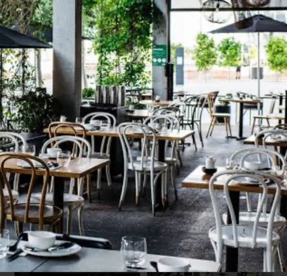 Vibe, Lotus Barangaroo