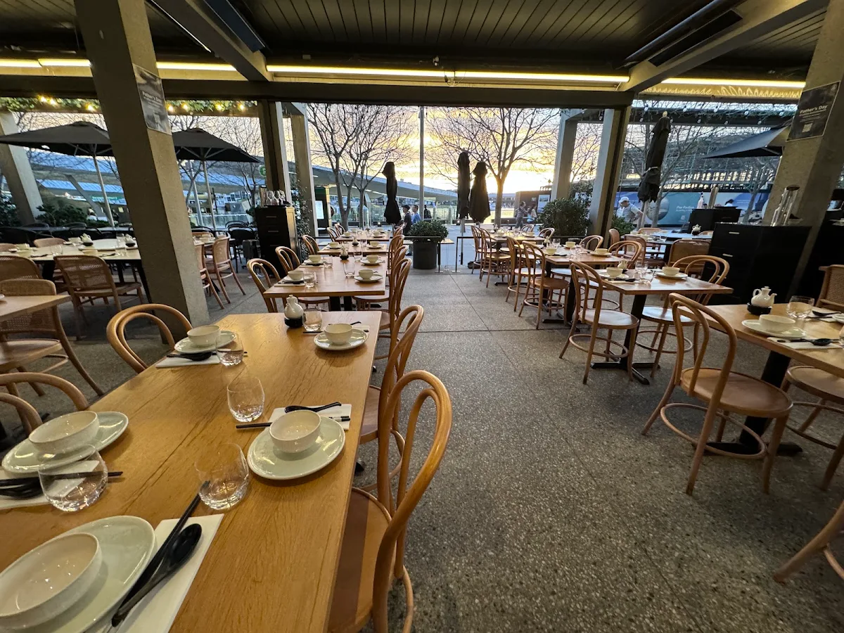 Vibe, Lotus Barangaroo