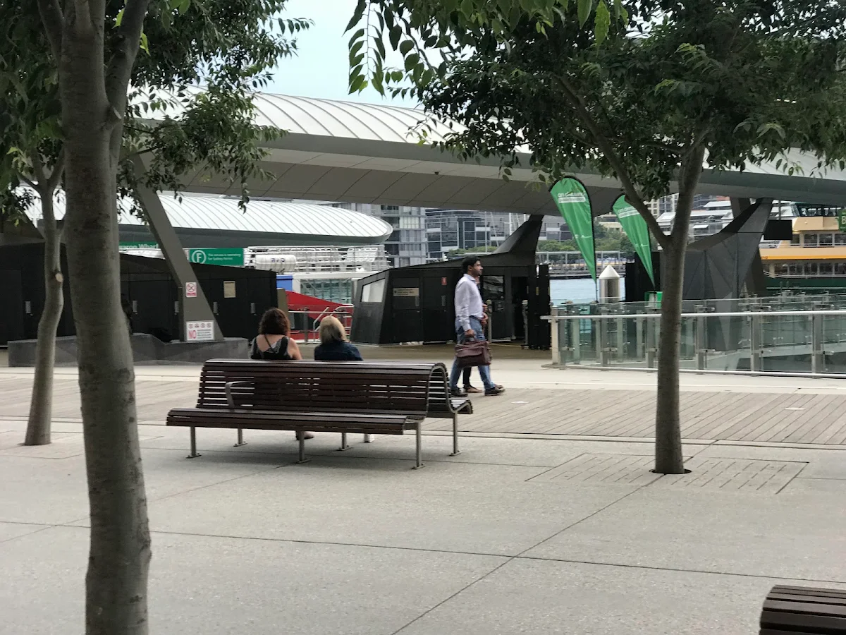 Vibe, Lotus Barangaroo