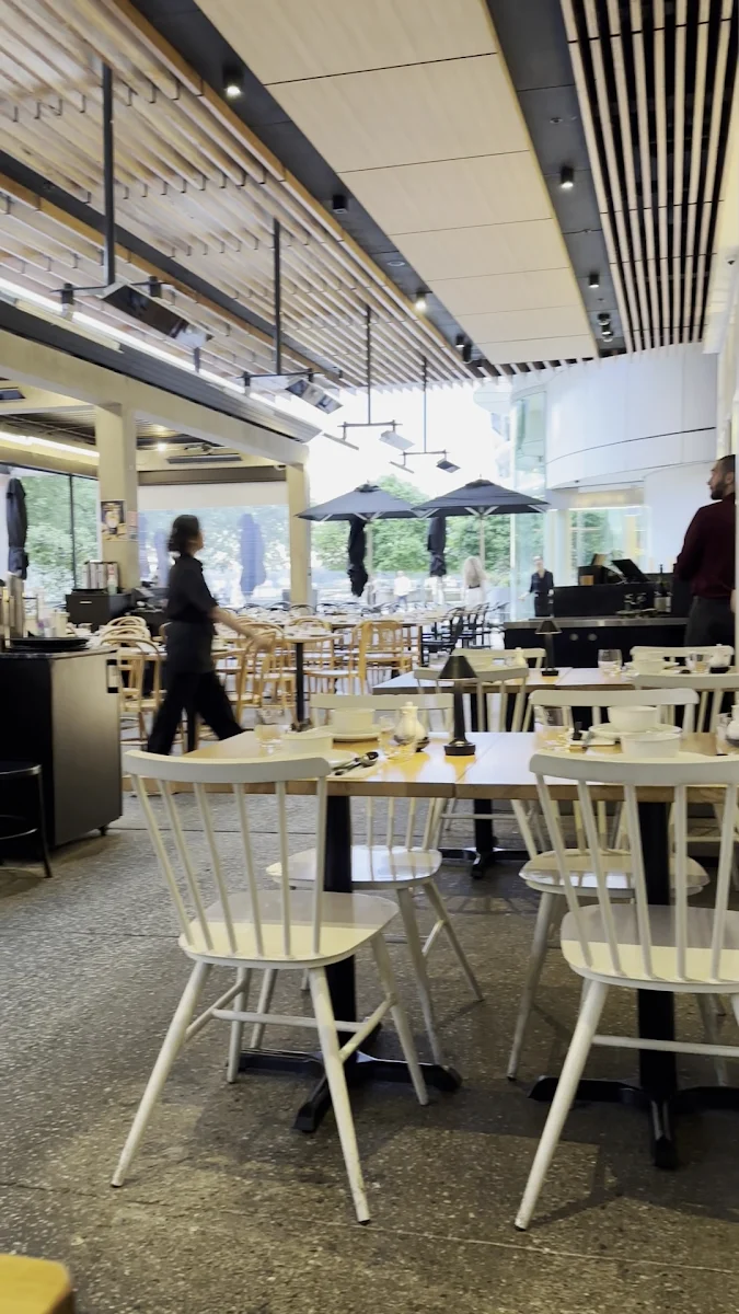 Vibe, Lotus Barangaroo