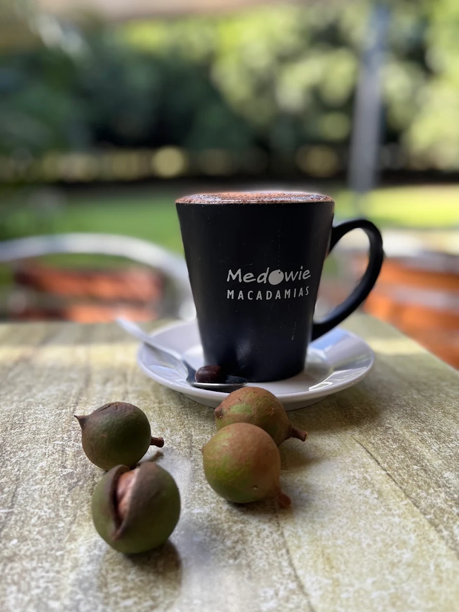 Food & drink, Medowie Macadamias