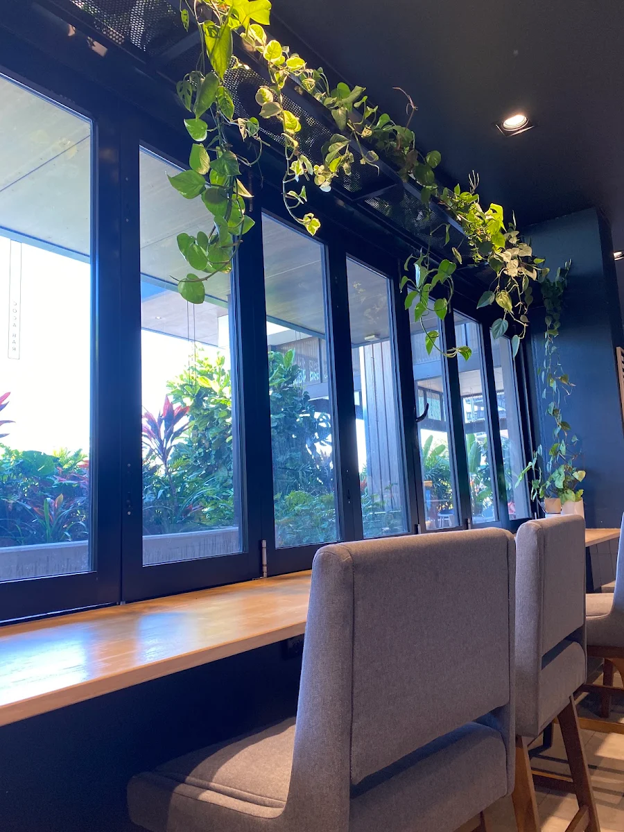 Vibe, Coca Bar | Cafe
