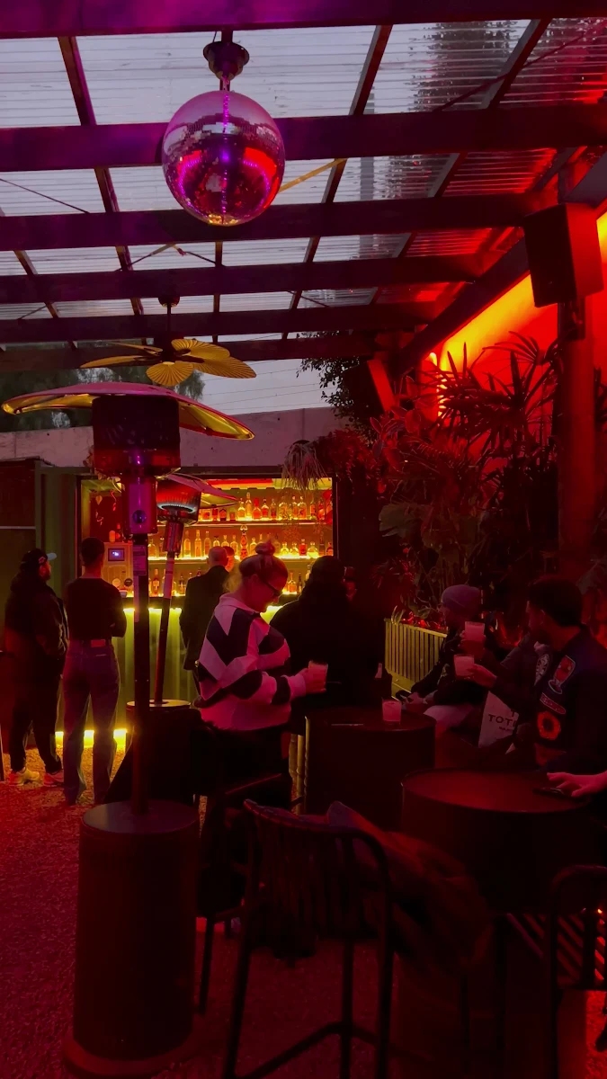 Vibe photo 2