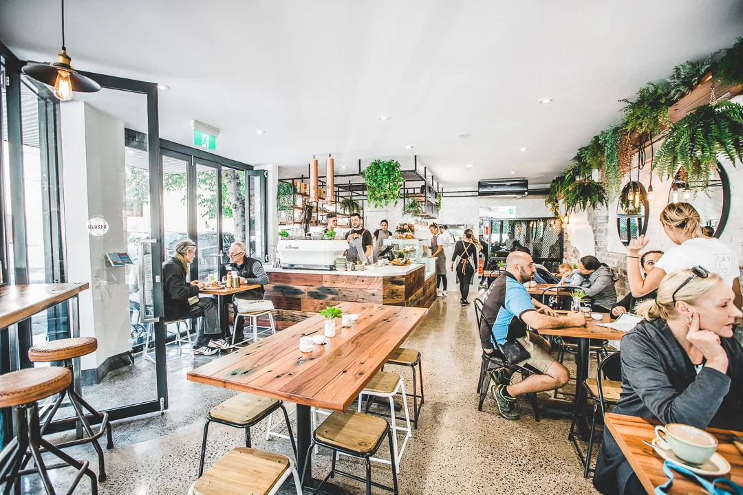 Vibe, CAV & CO. Cafe