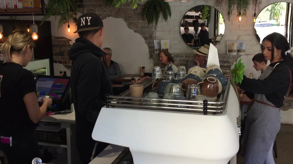Vibe, CAV & CO. Cafe