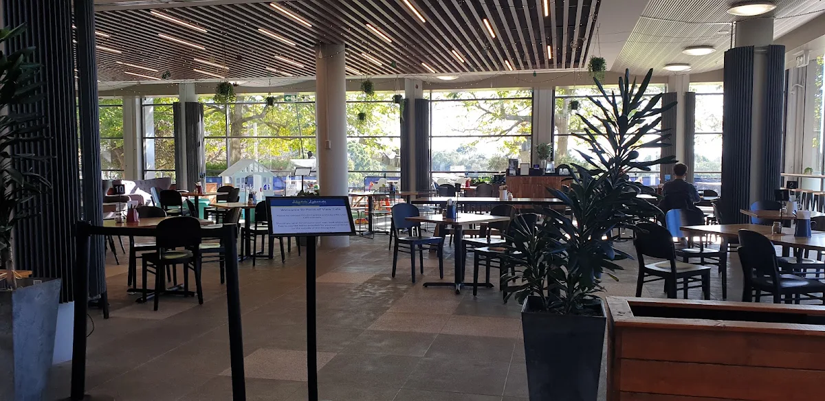 Vibe, Point of View Cafe