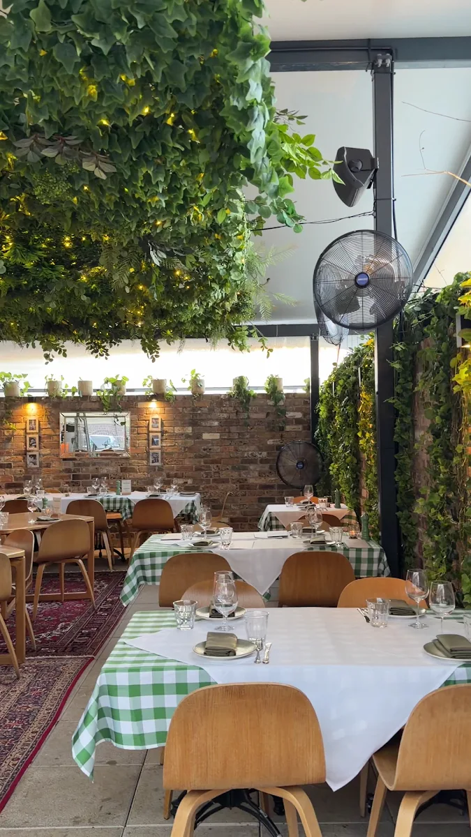 Vibe, La Terrazza Osteria Verde