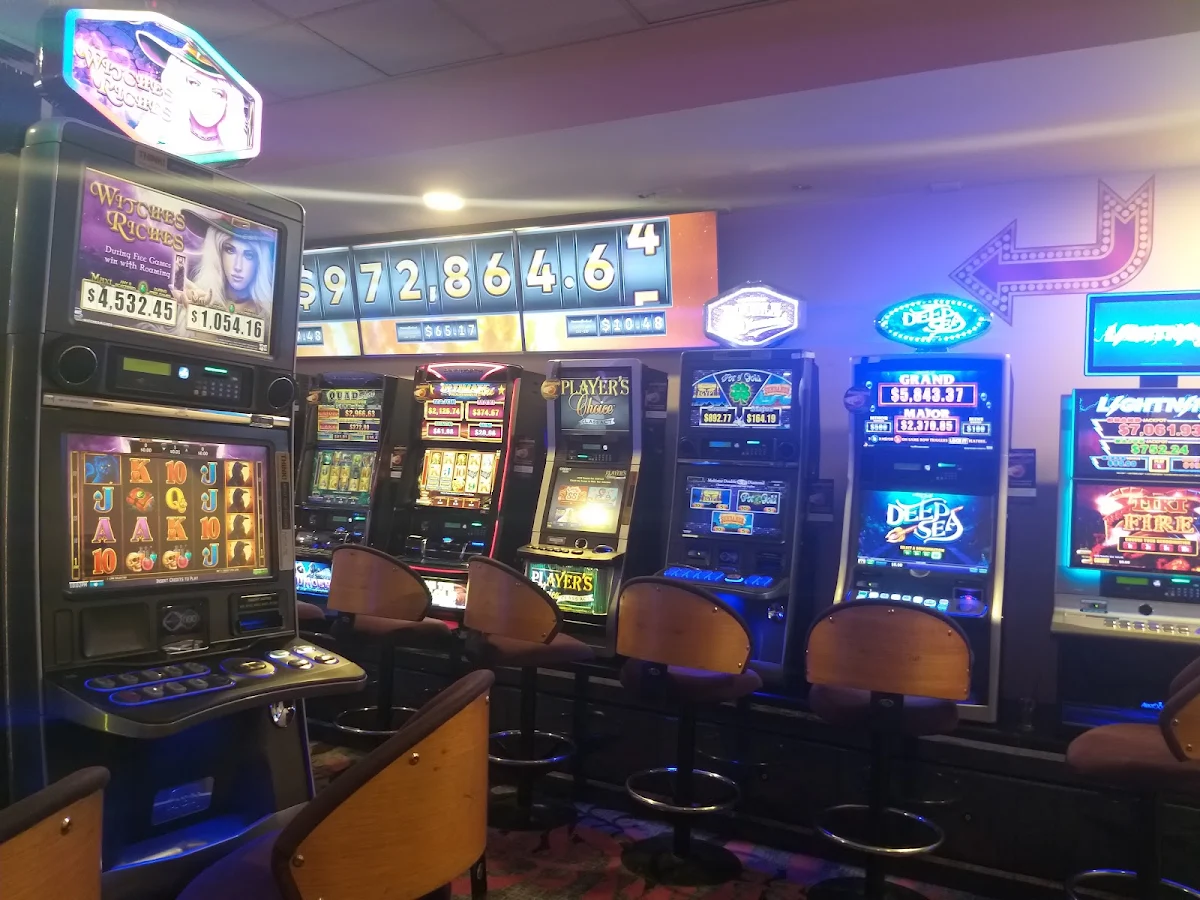 Vibe, Tamworth Services Club