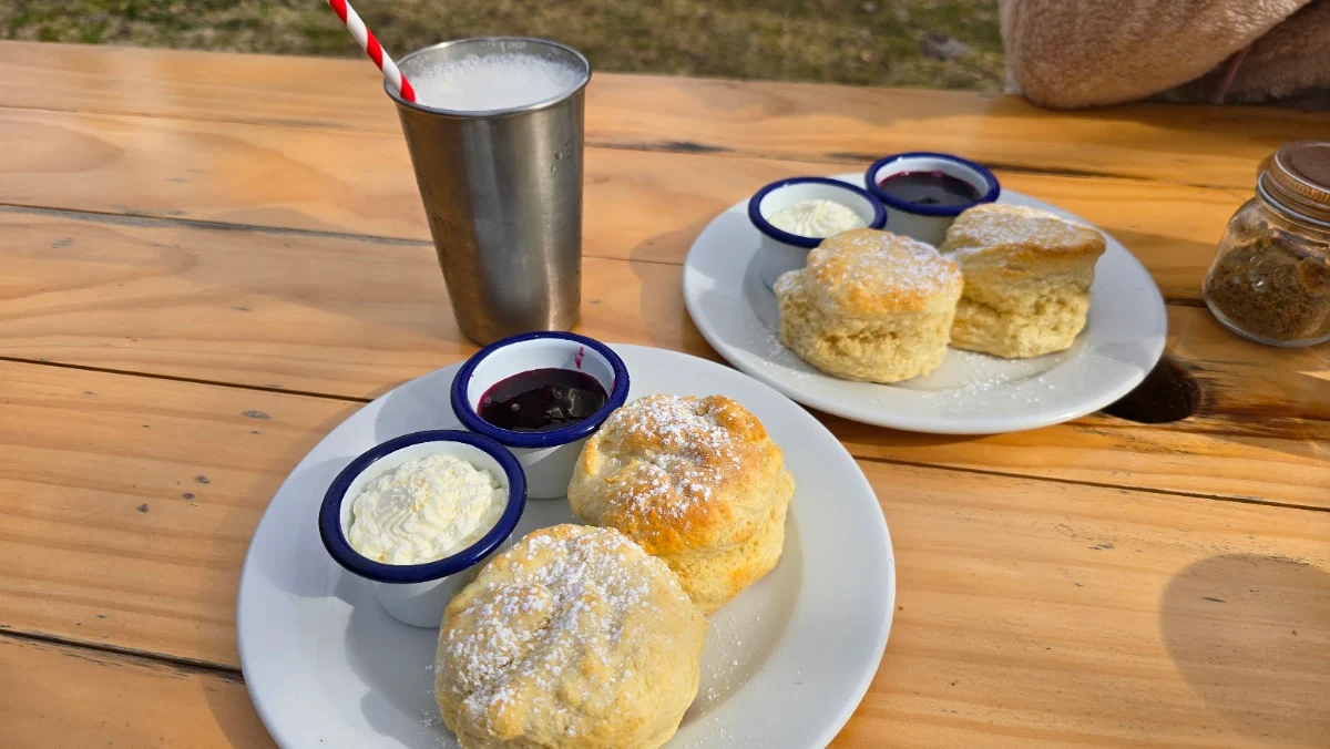 Food & drink photo 5