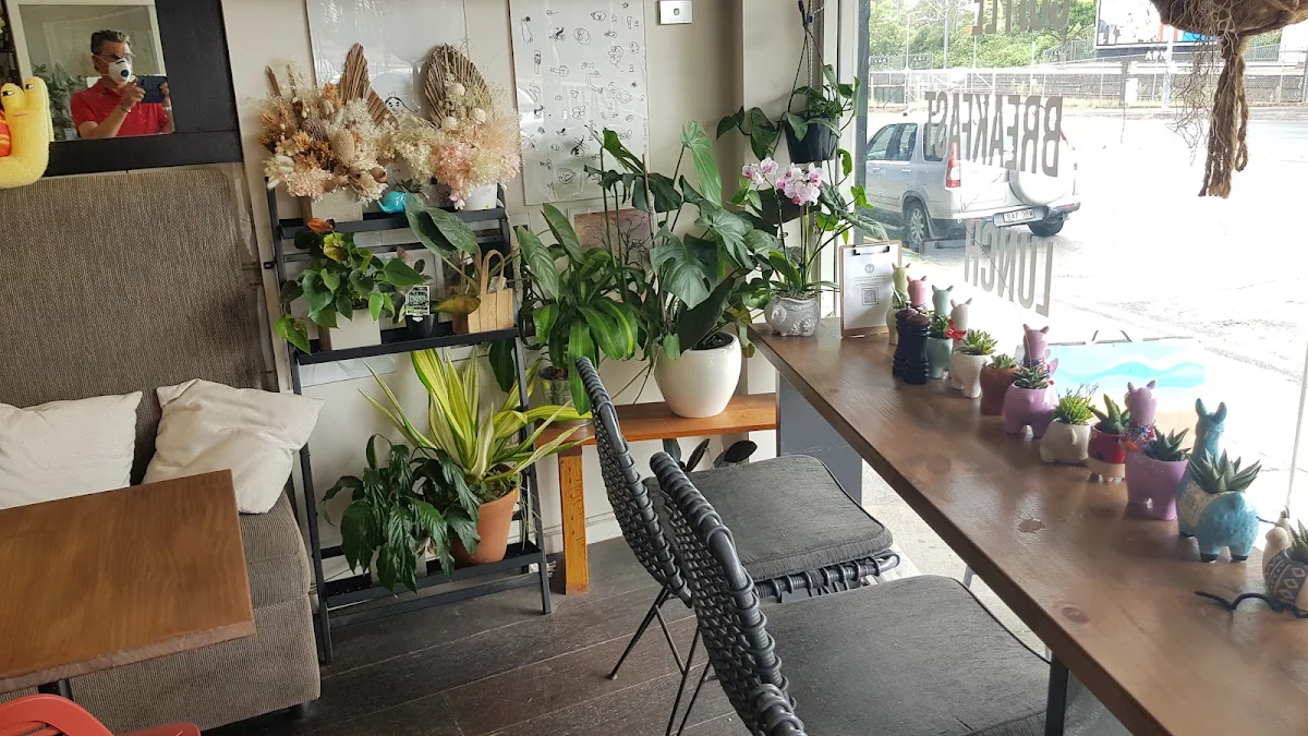 Vibe, Elementary Cafe