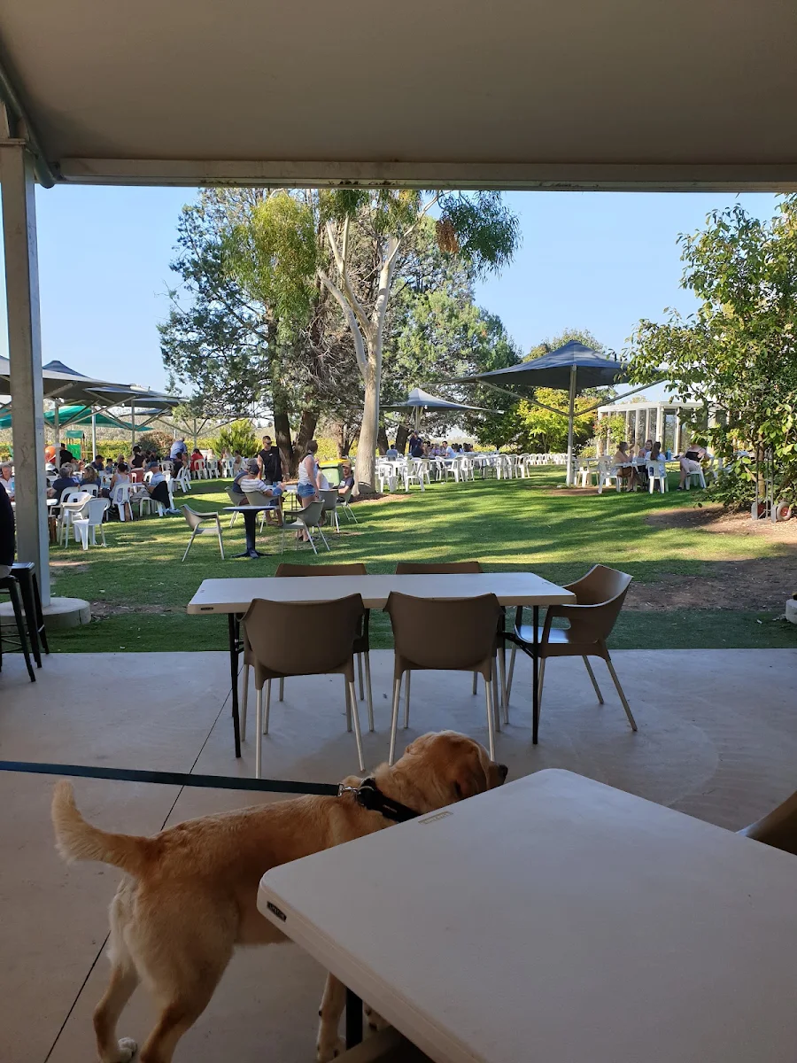 Vibe, Morrisons Winery and Restaurant