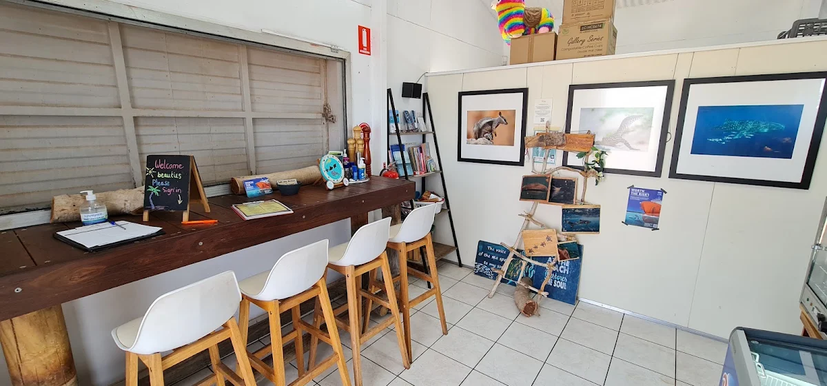 Vibe, The Shack Exmouth