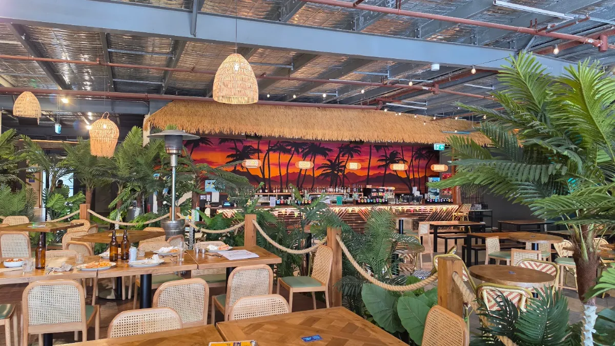 Vibe, Moon Dog Beach Club