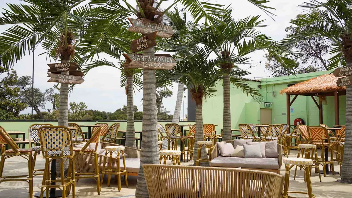 Vibe, Moon Dog Beach Club