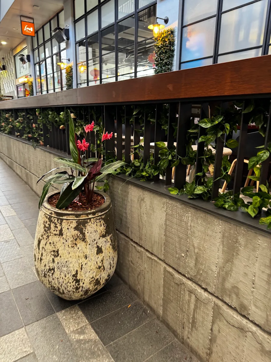Vibe, Lee's Yum Cha