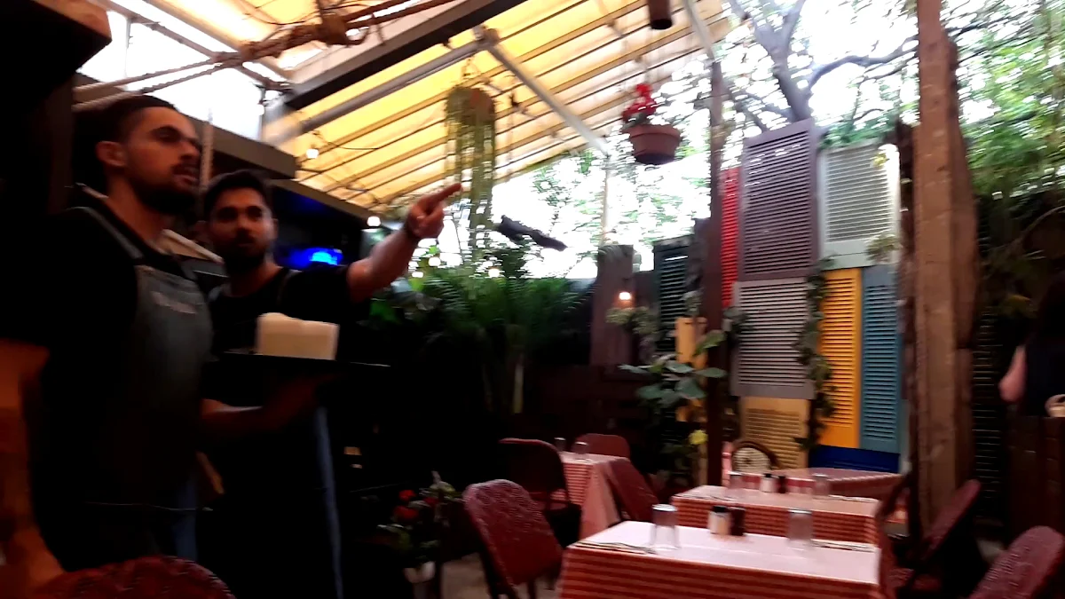 Vibe, Vino e Cucina Italian Restaurant Sydney