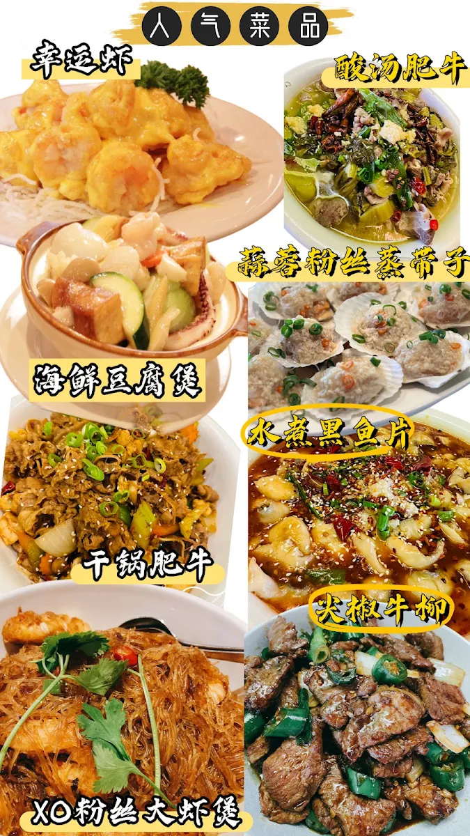 Menu, Peking Duck Chinese Restaurant