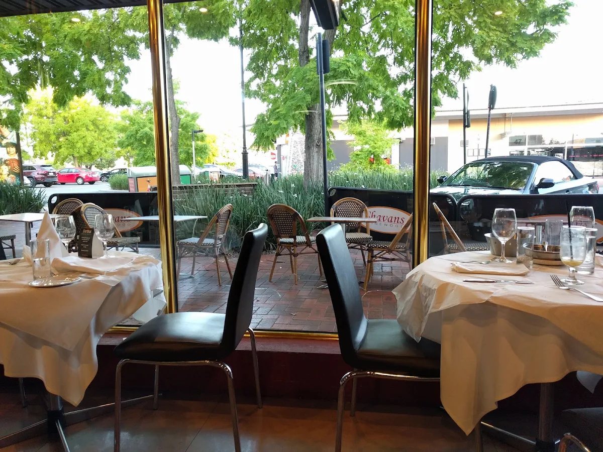 Vibe, Waadiya Mount Waverley