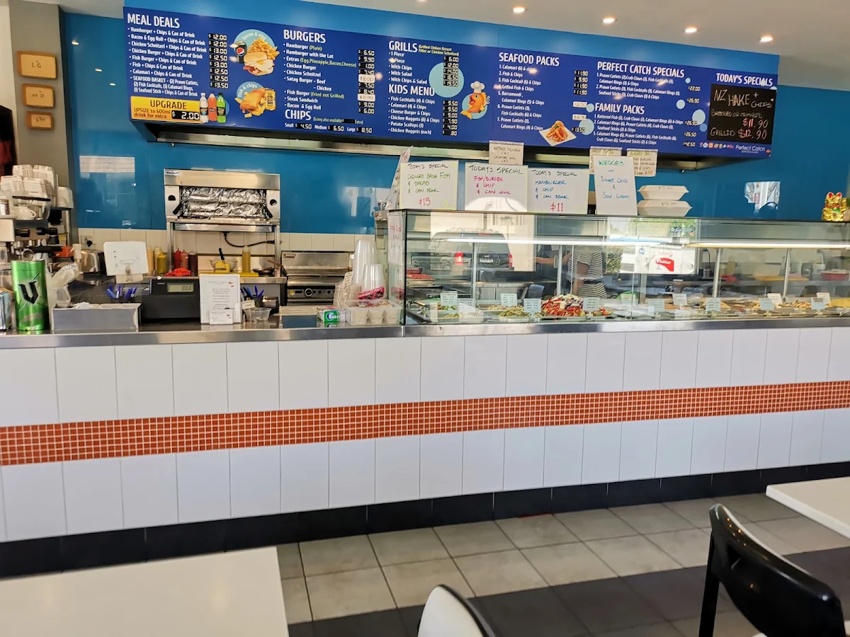 Vibe, Perfect Catch Casula