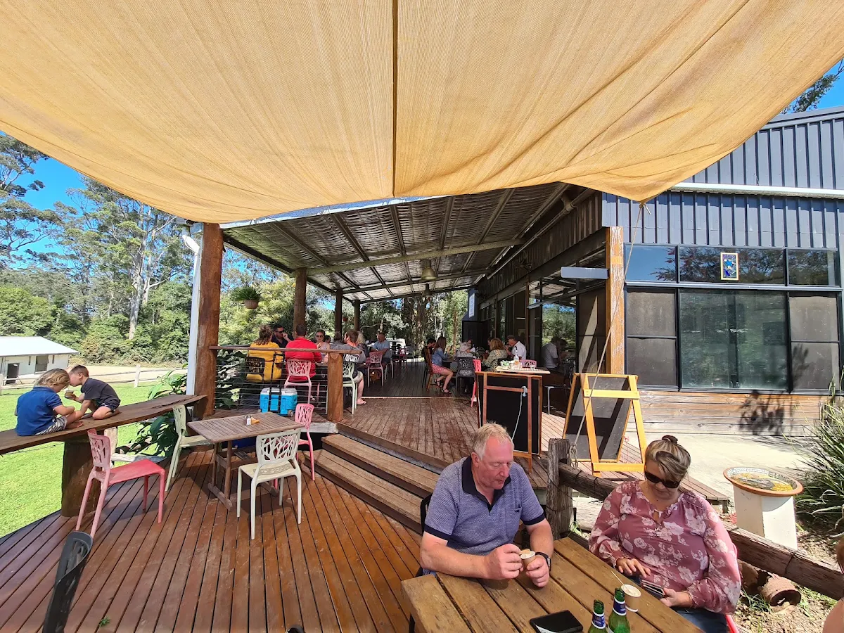 Vibe, Eungai Creek Buffalo