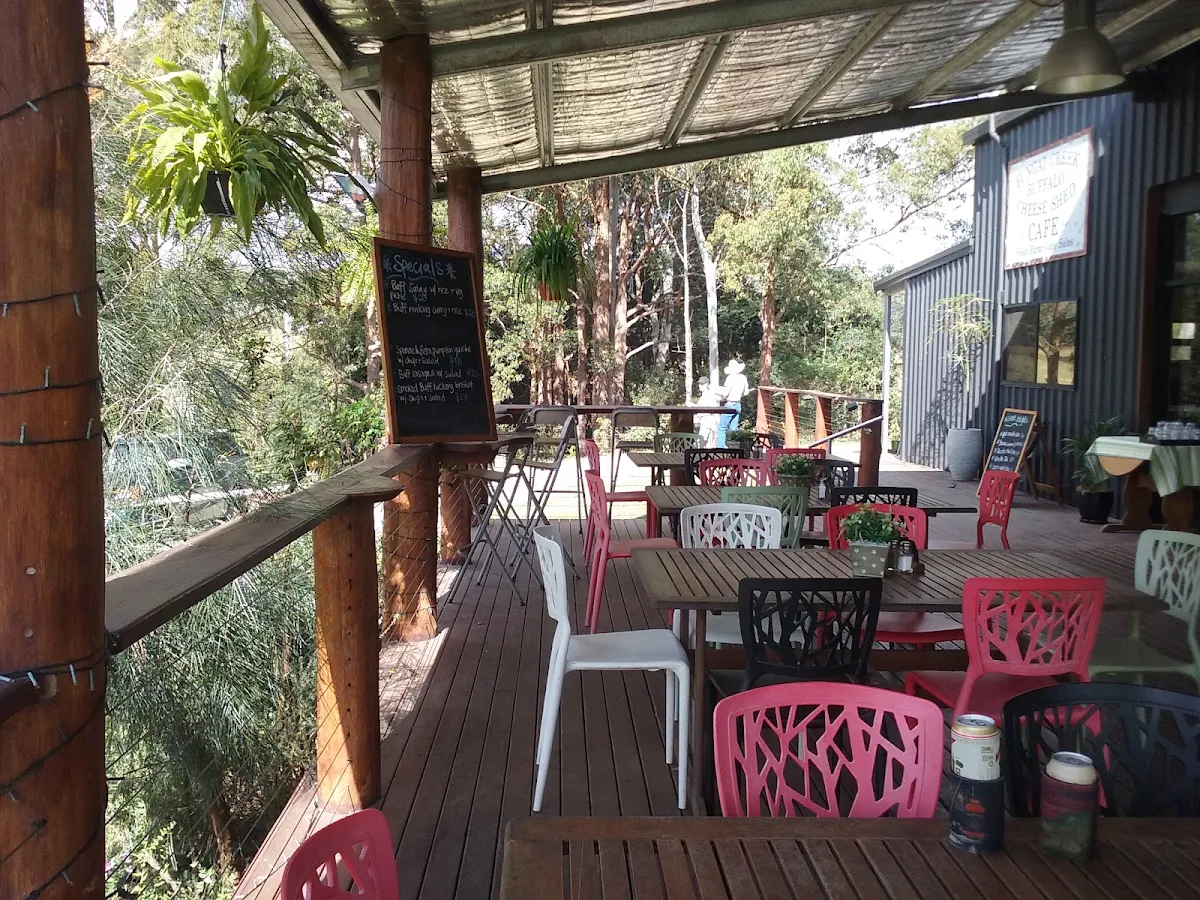 Vibe, Eungai Creek Buffalo