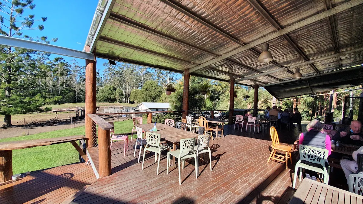 Vibe, Eungai Creek Buffalo