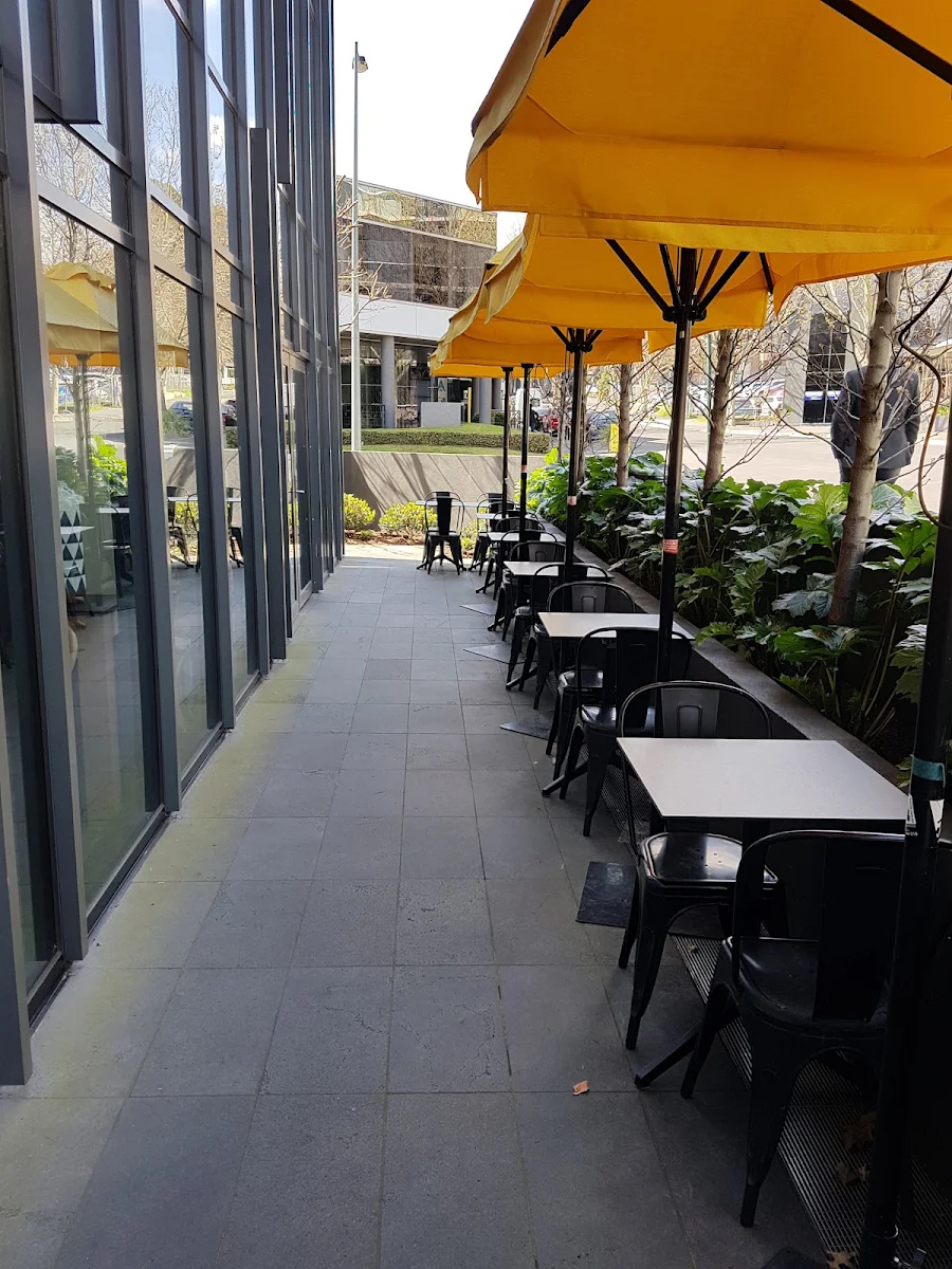 Vibe, Saporo Cafe Box Hill