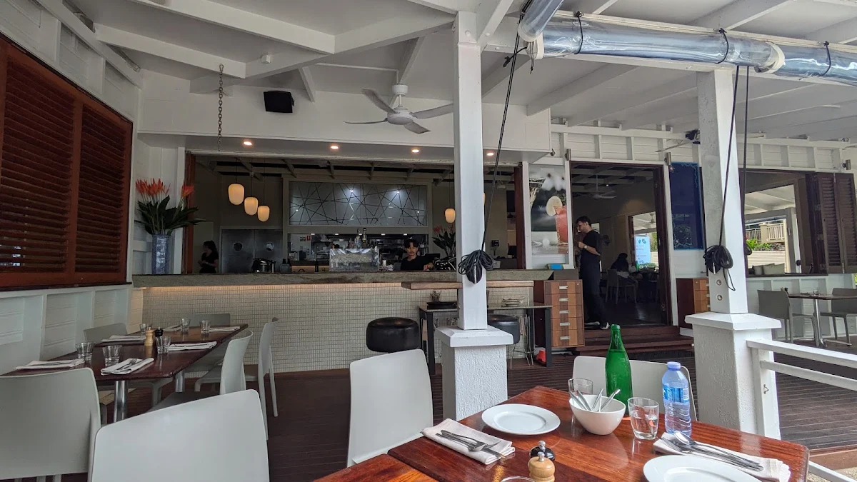 Vibe, Vivo Palm Cove