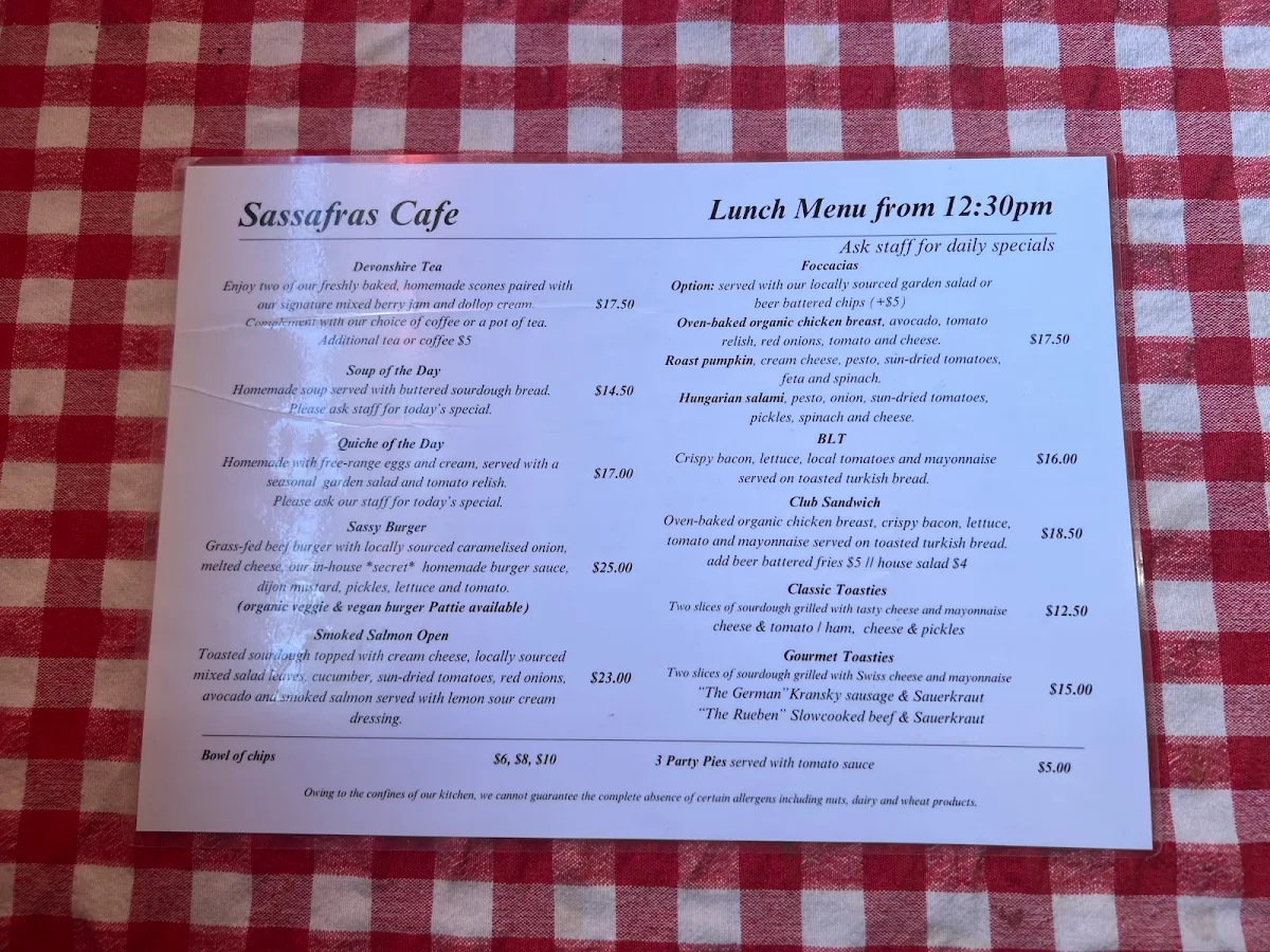 Menu, Sassafras Cafe & Back to Earth Juice Bar
