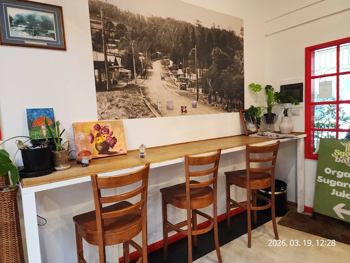 Vibe, Sassafras Cafe & Back to Earth Juice Bar