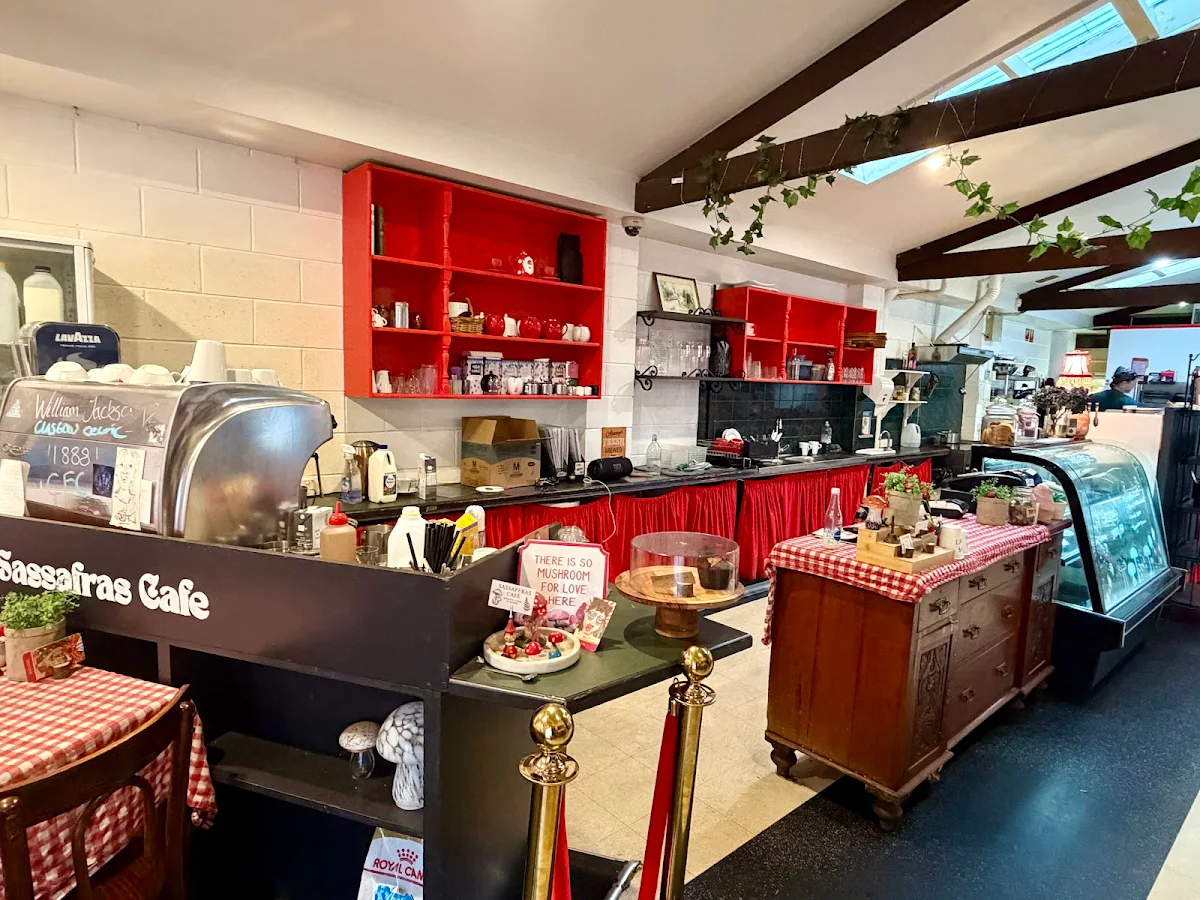 Vibe, Sassafras Cafe & Back to Earth Juice Bar