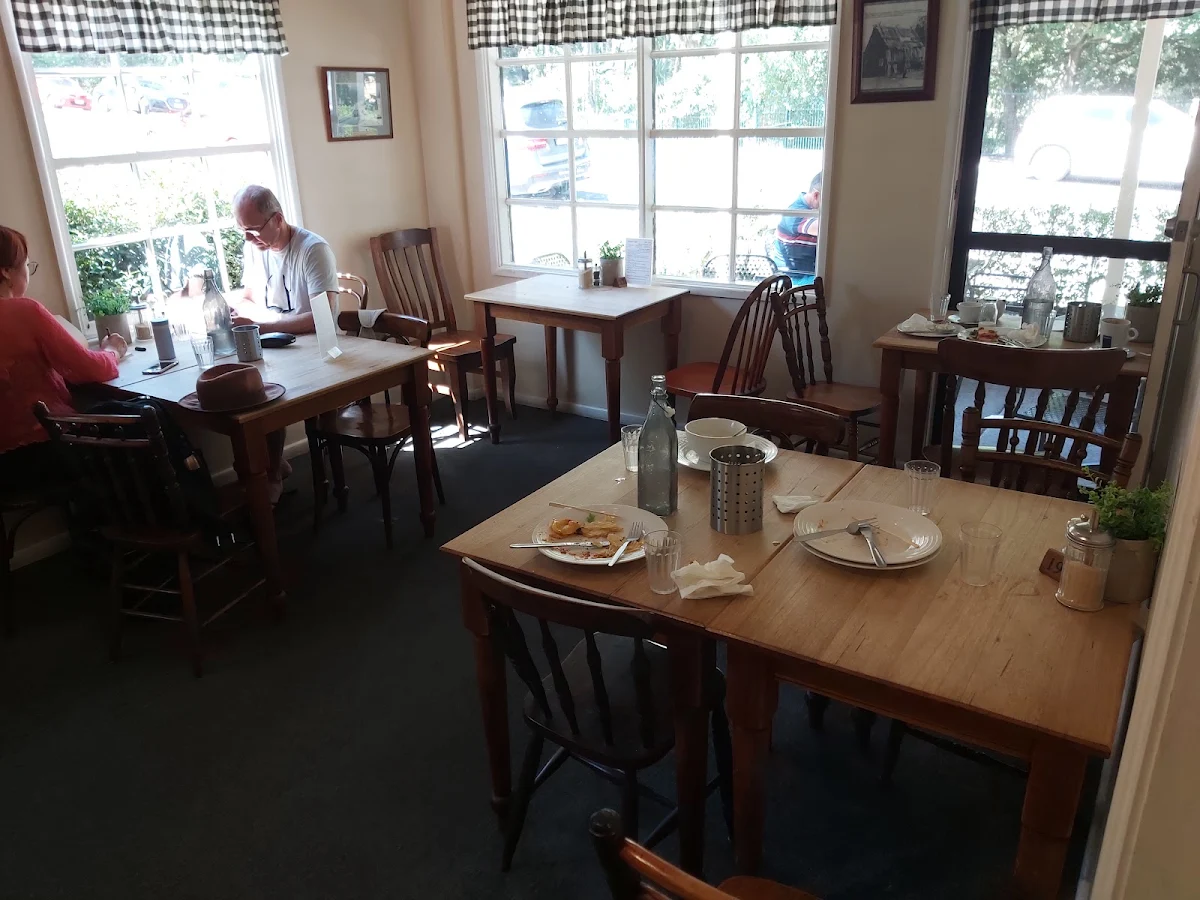 Vibe, Sassafras Cafe & Back to Earth Juice Bar