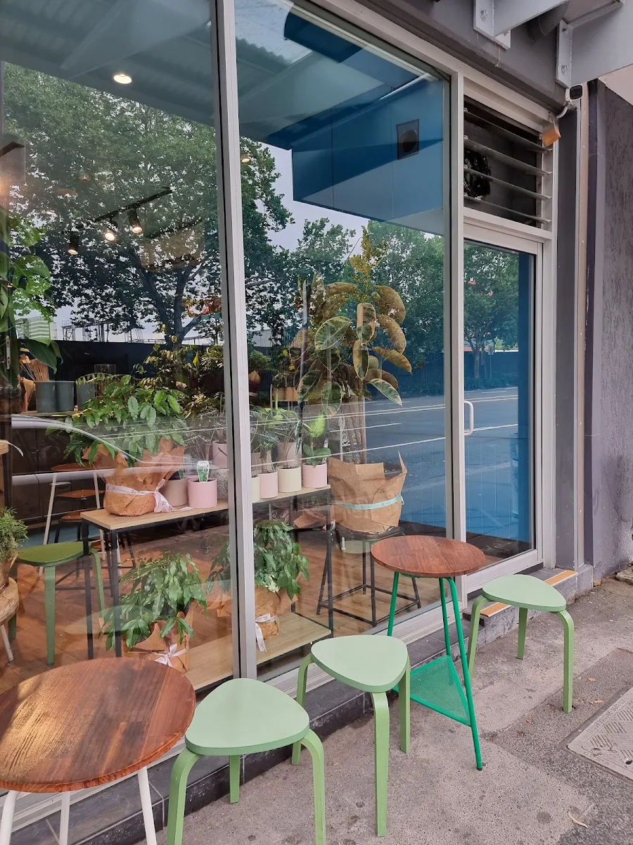 Vibe, Rose Espresso Florist